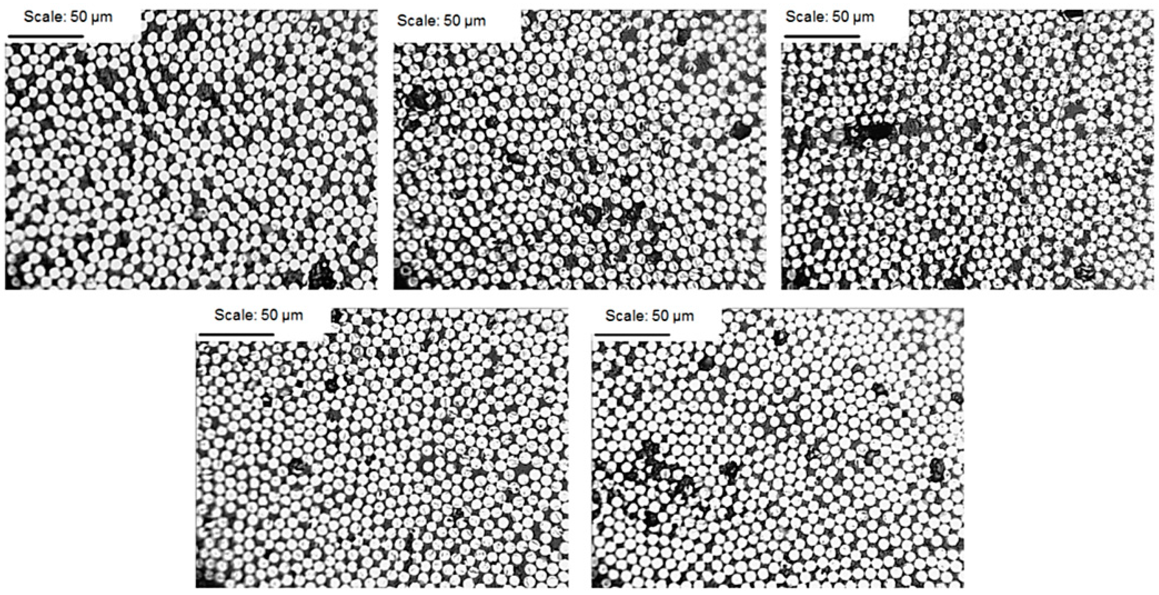 Materials 14 07037 g010