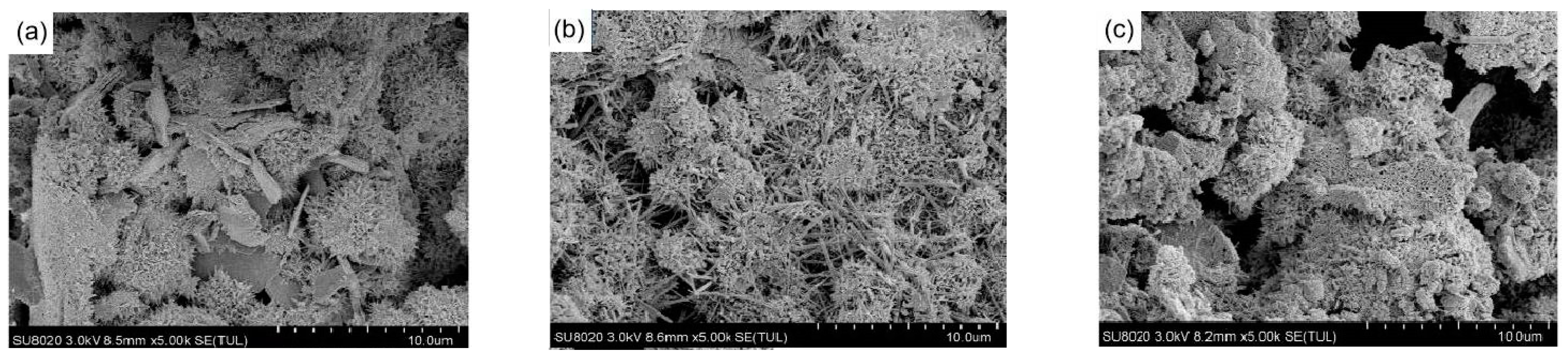 Materials 14 07047 g006