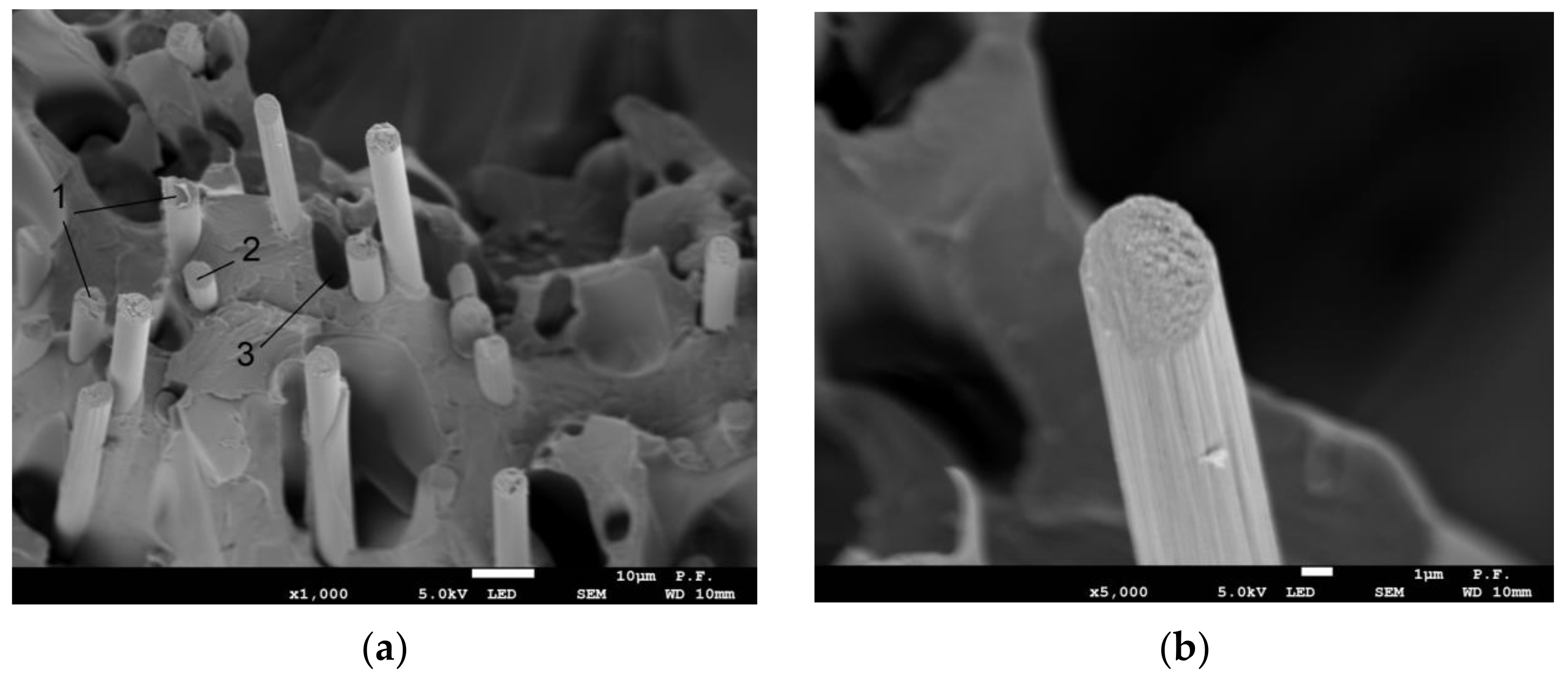 Materials 14 07062 g020