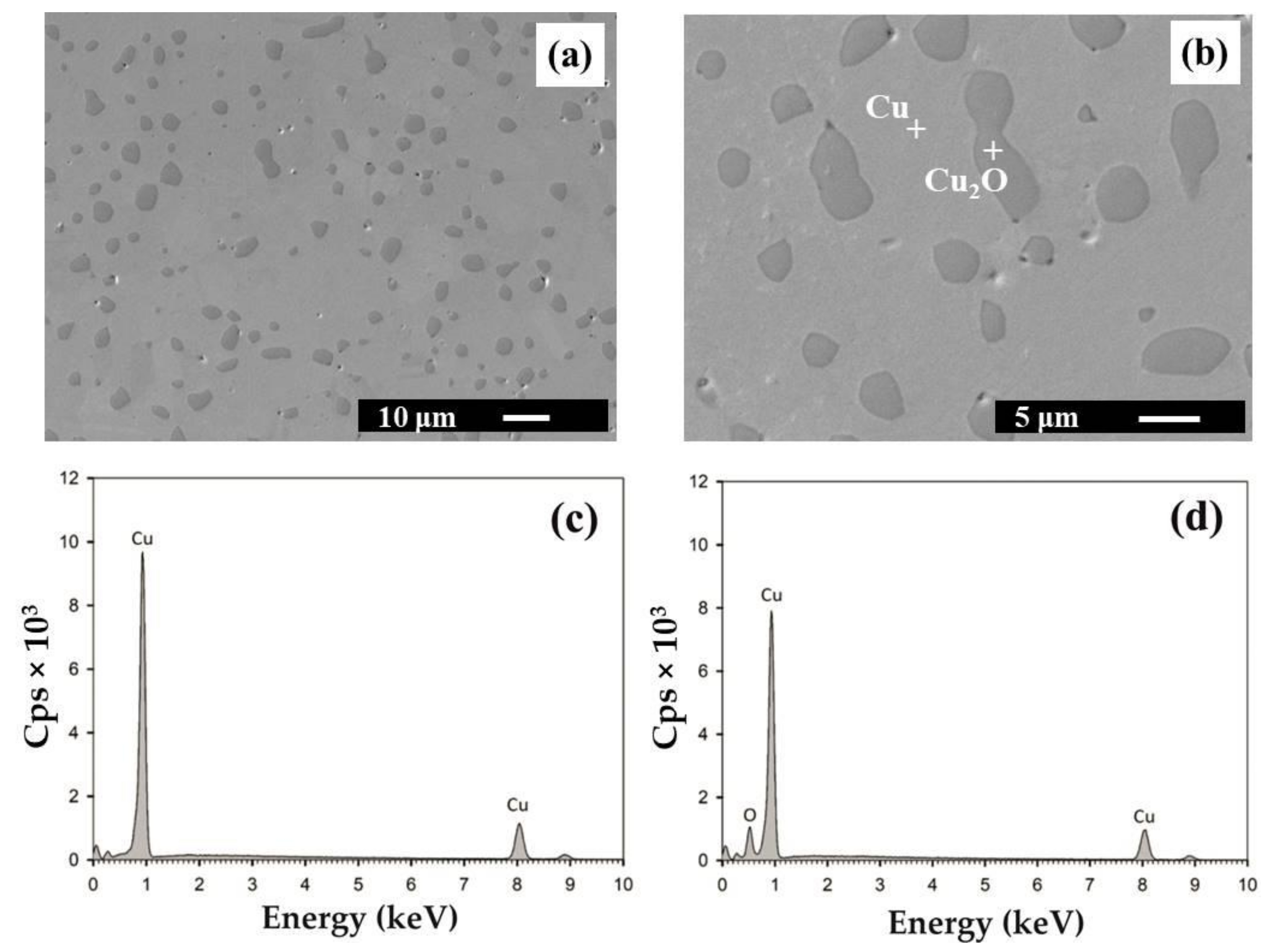 Materials 14 07089 g001