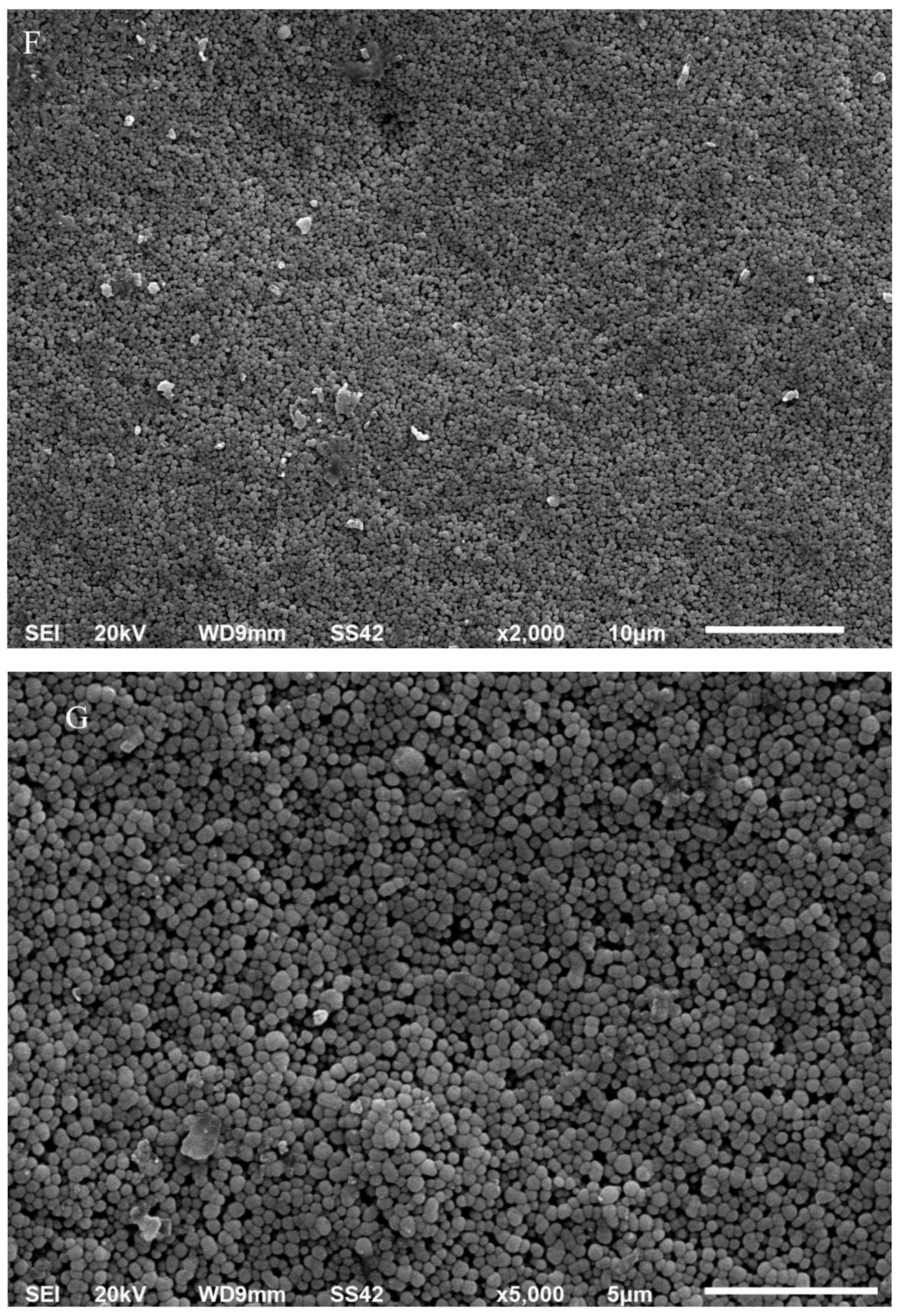 Materials 14 07107 g001d