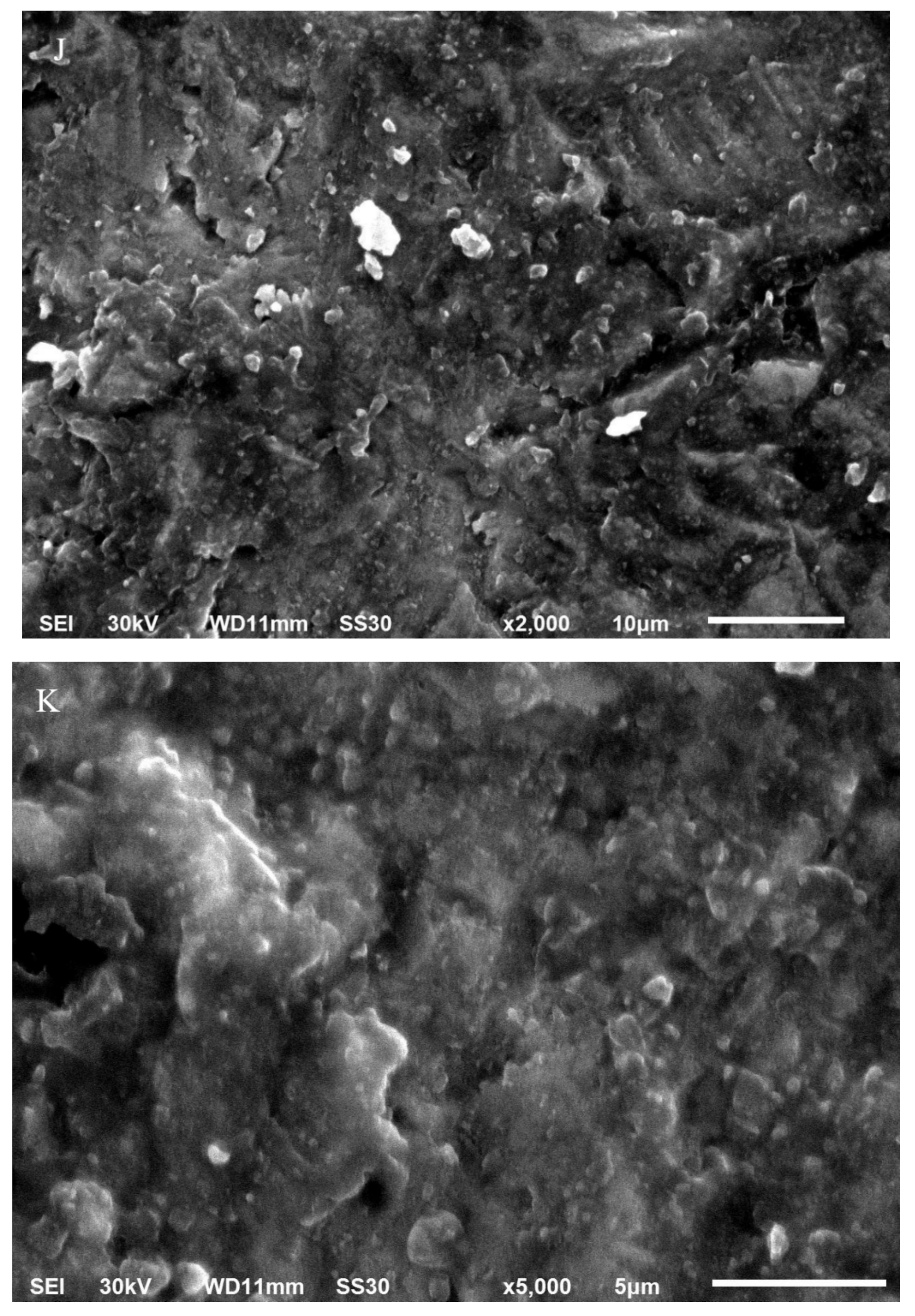 Materials 14 07107 g001f