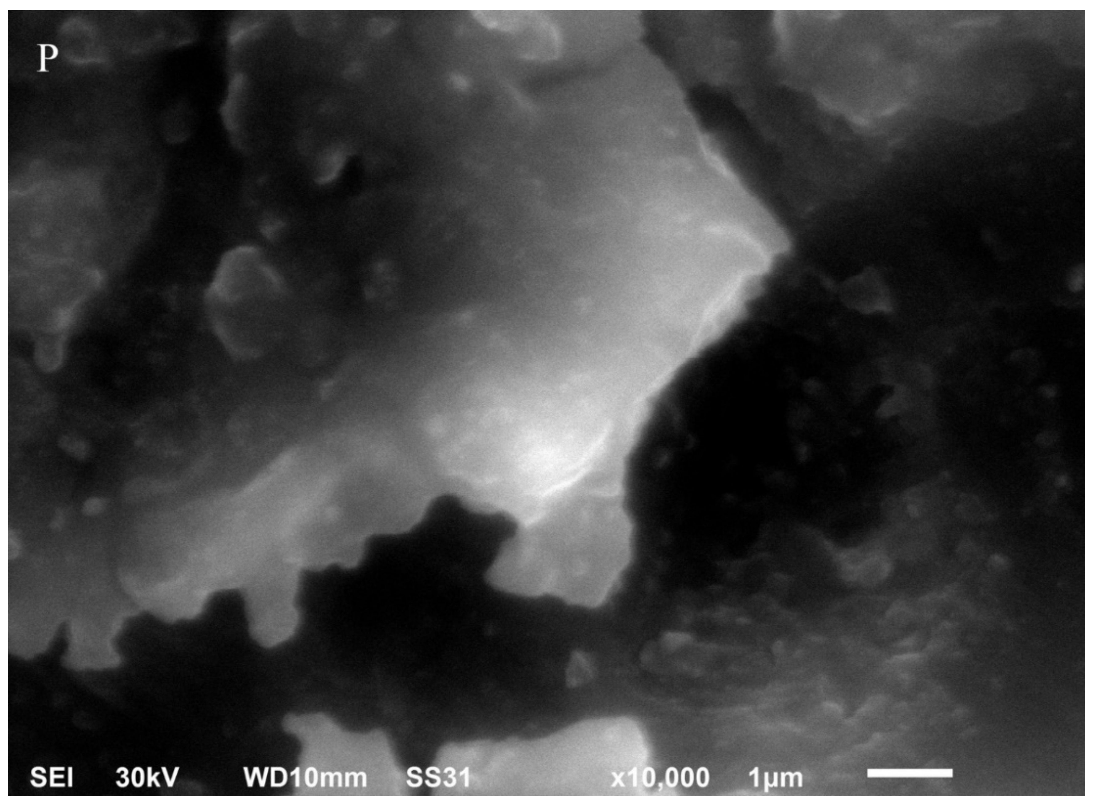 Materials 14 07107 g001i