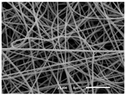 Materials 14 07147 i002