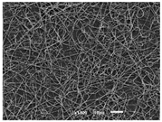 Materials 14 07147 i003