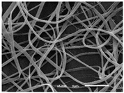 Materials 14 07147 i004