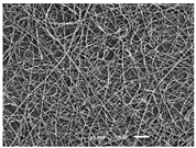 Materials 14 07147 i005