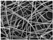 Materials 14 07147 i006