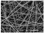 Materials 14 07147 i008