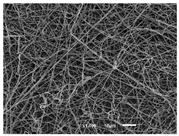 Materials 14 07147 i009