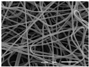 Materials 14 07147 i010