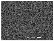 Materials 14 07147 i011