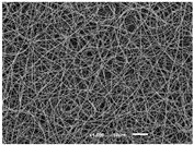 Materials 14 07147 i013