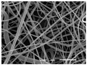 Materials 14 07147 i014