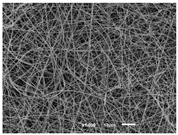 Materials 14 07147 i015