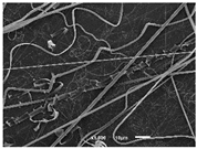 Materials 14 07147 i017