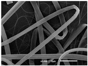 Materials 14 07147 i018