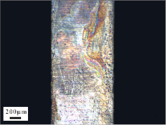 Materials 14 07149 i001