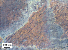 Materials 14 07149 i006