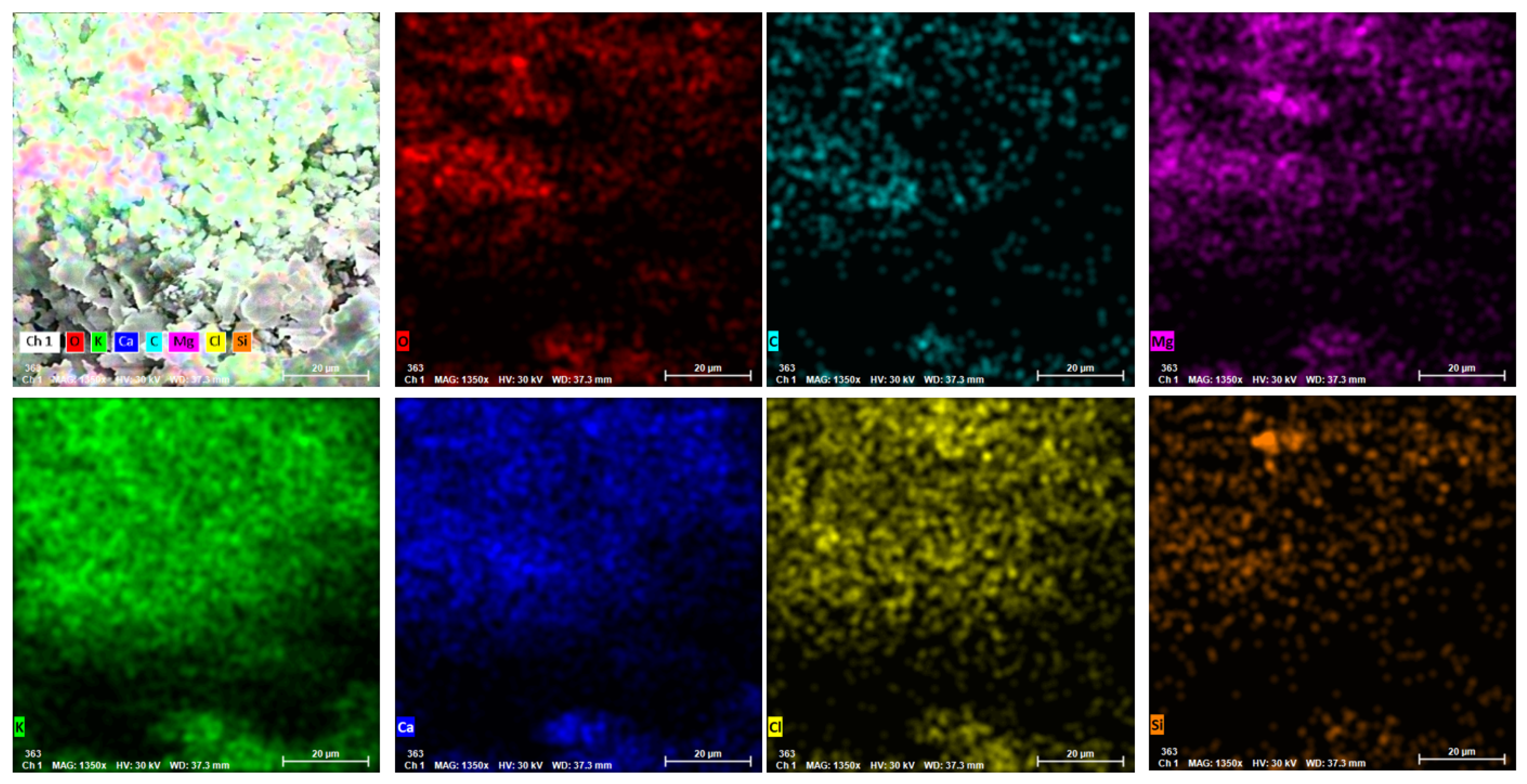 Materials 14 07177 g006