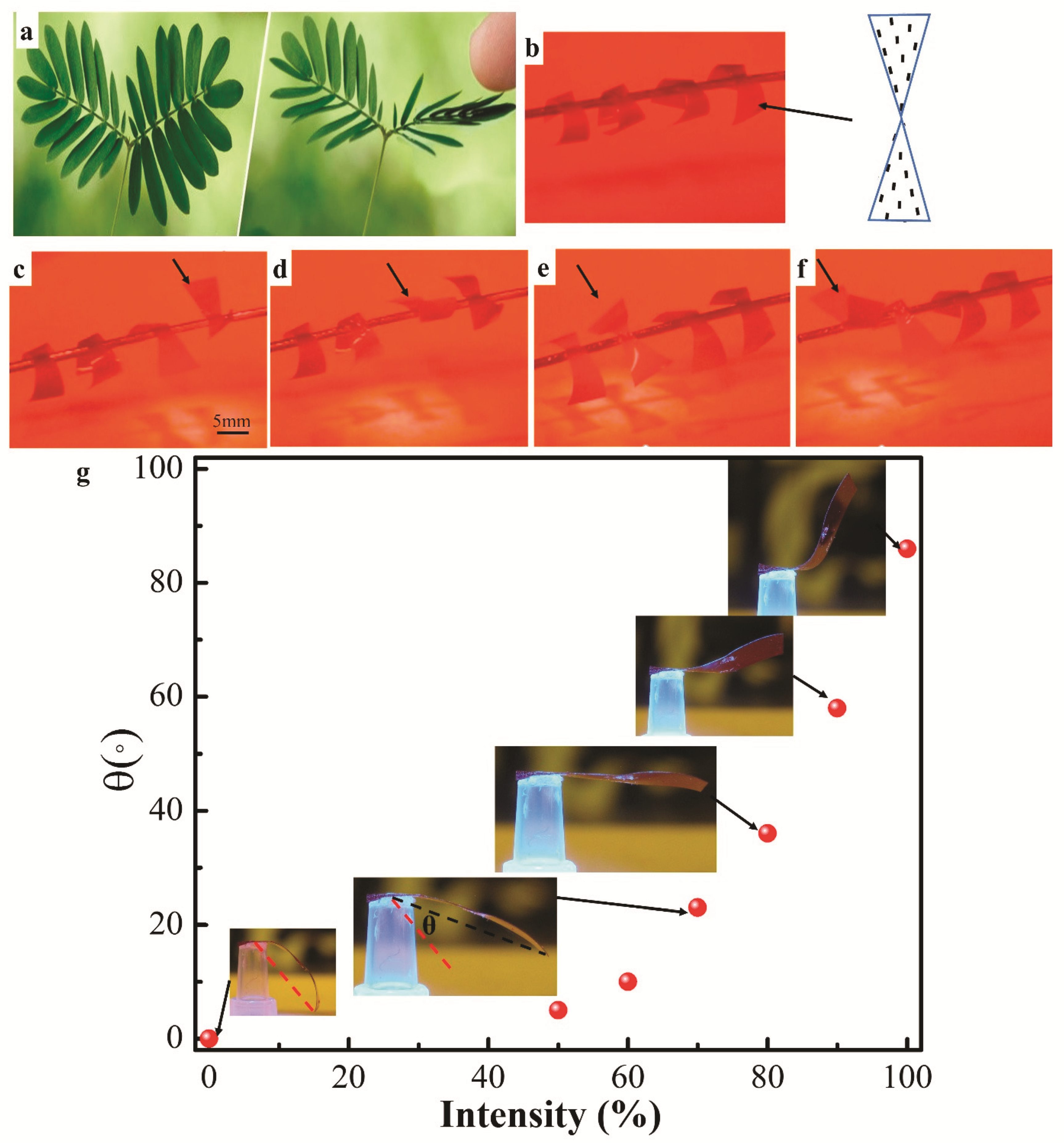 Materials 14 07245 g005