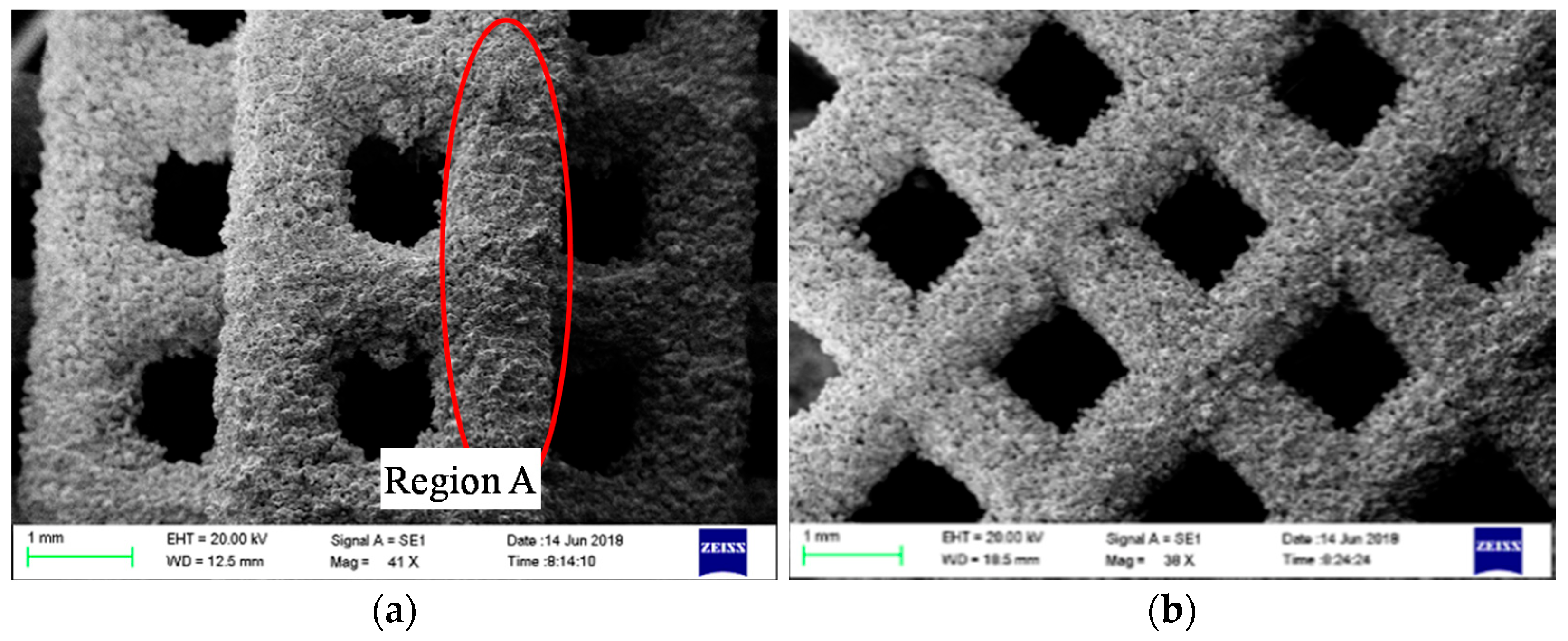 Materials 14 07248 g010