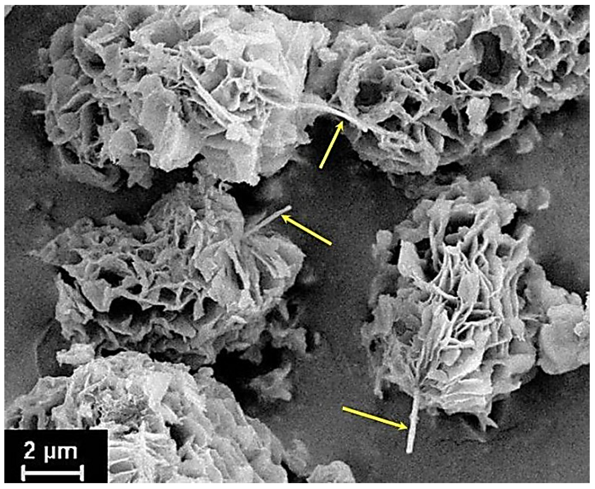 Materials 14 07251 g001 Materials 14 07251 g001