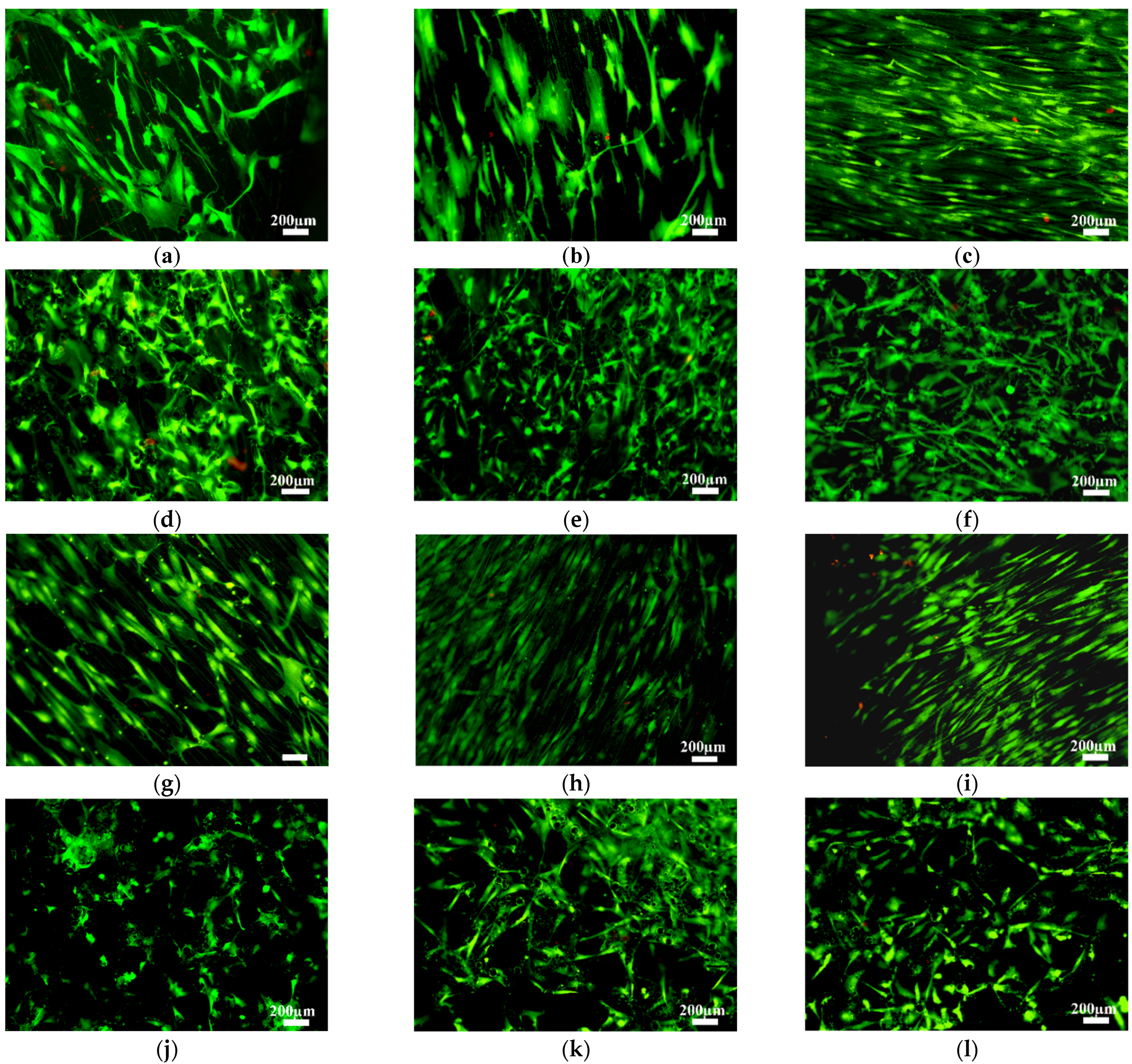 Materials 14 07260 g003