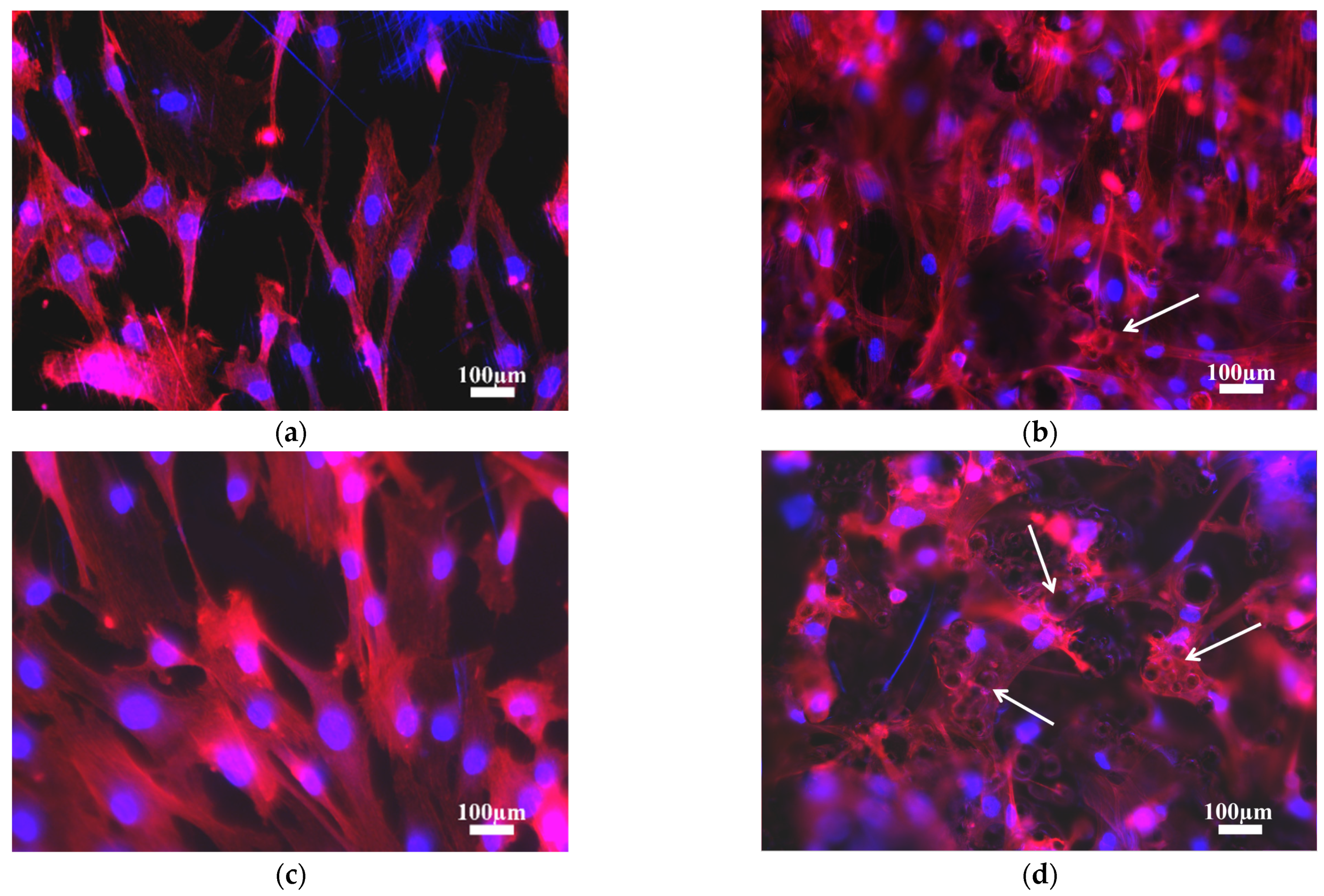 Materials 14 07260 g005