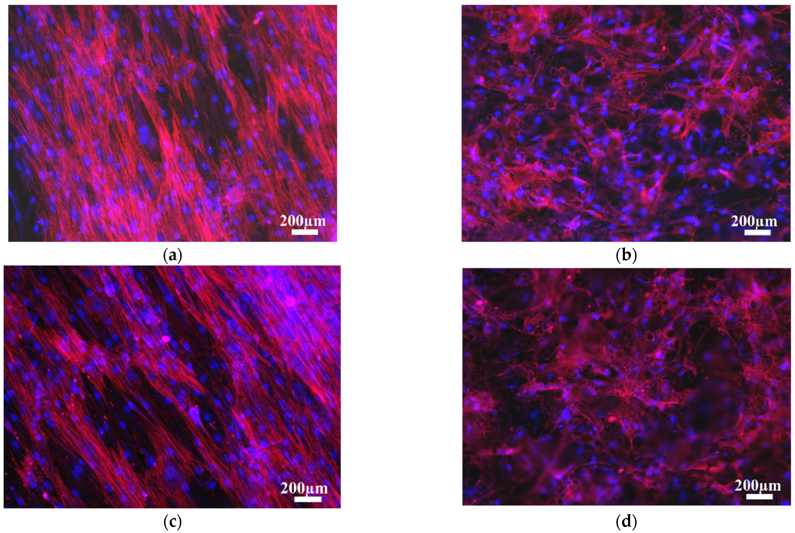 Materials 14 07260 g006