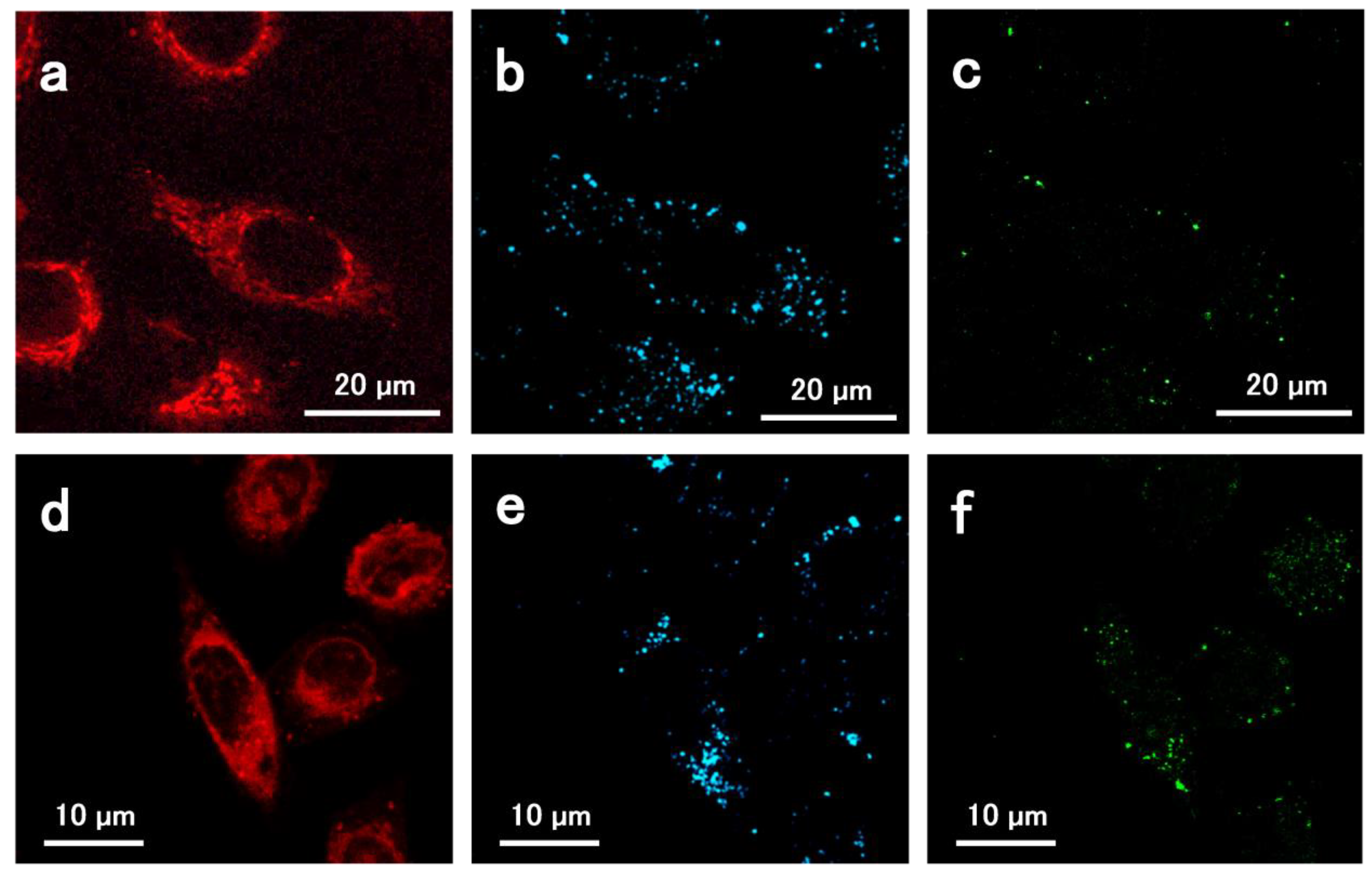 Materials 14 07272 g004