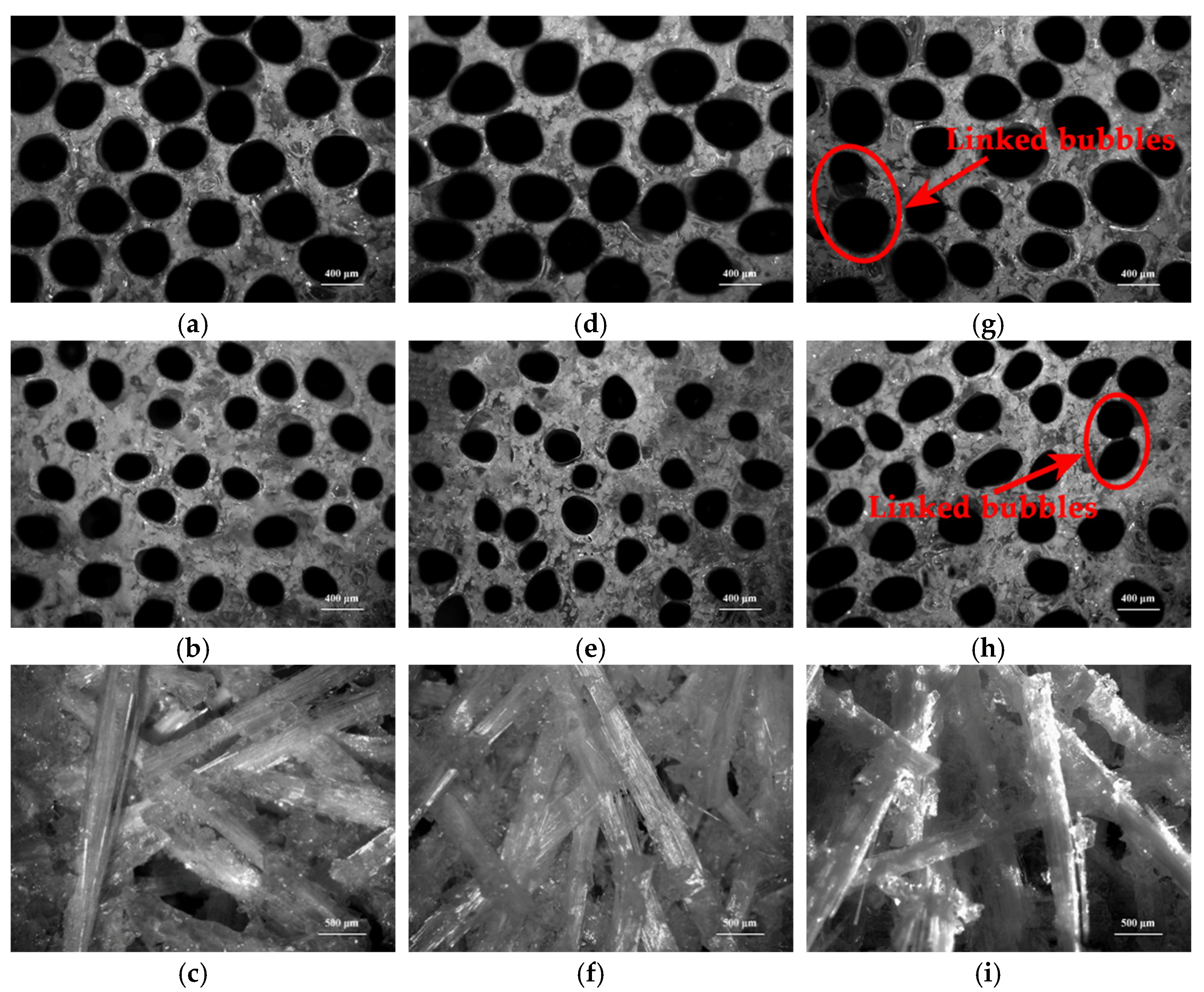 Materials 14 07307 g008