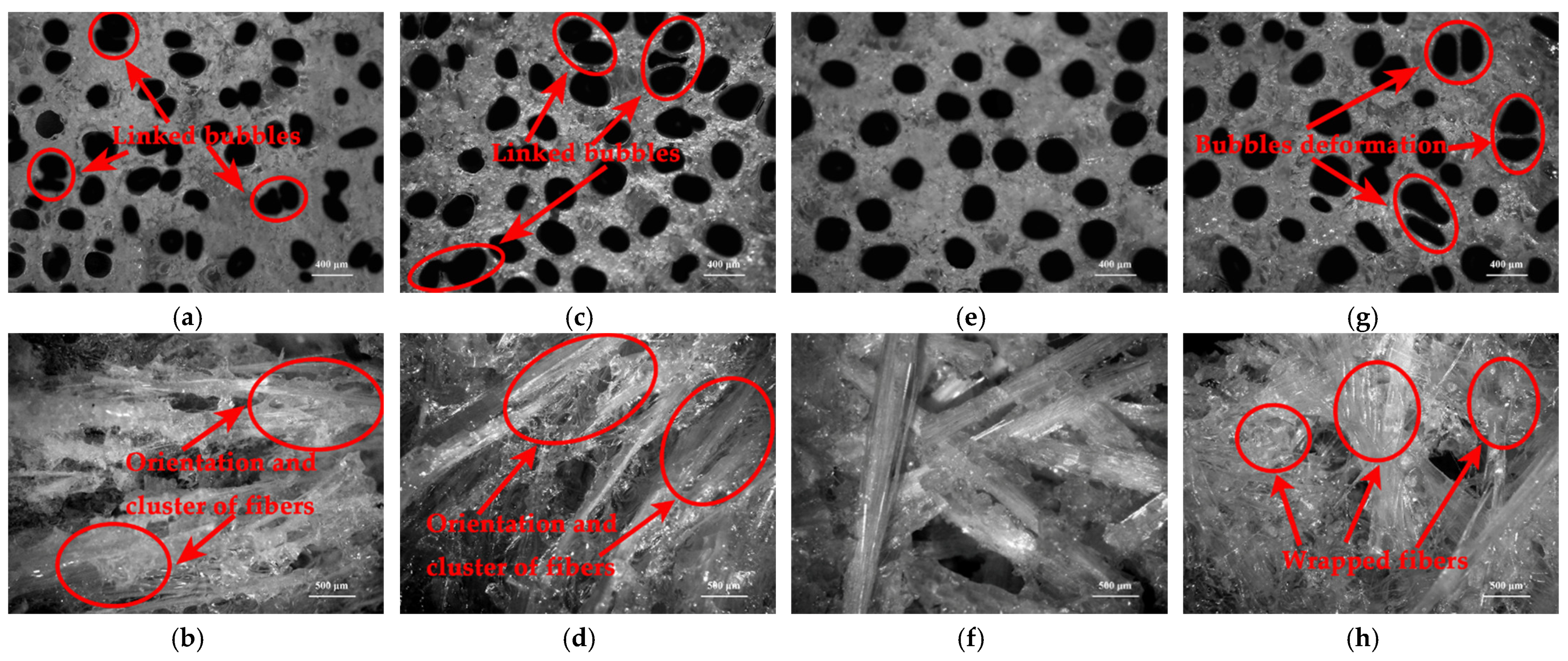 Materials 14 07307 g009