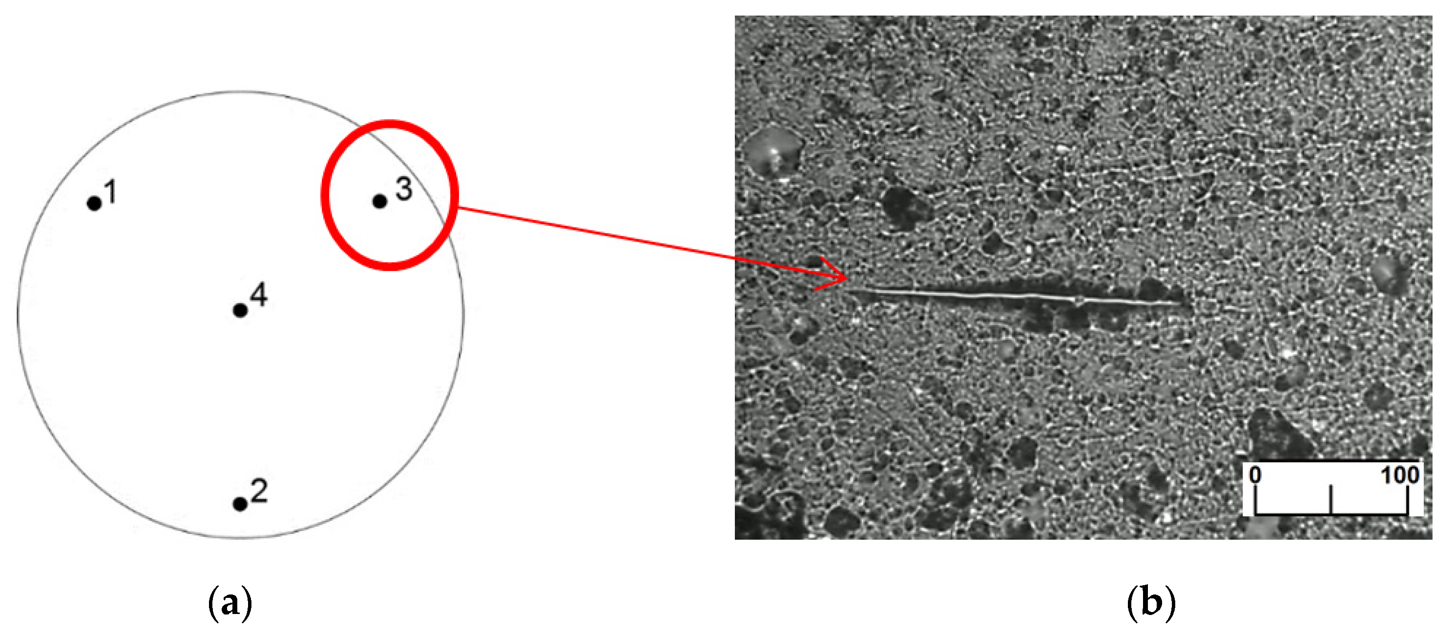 Materials 14 07318 g003