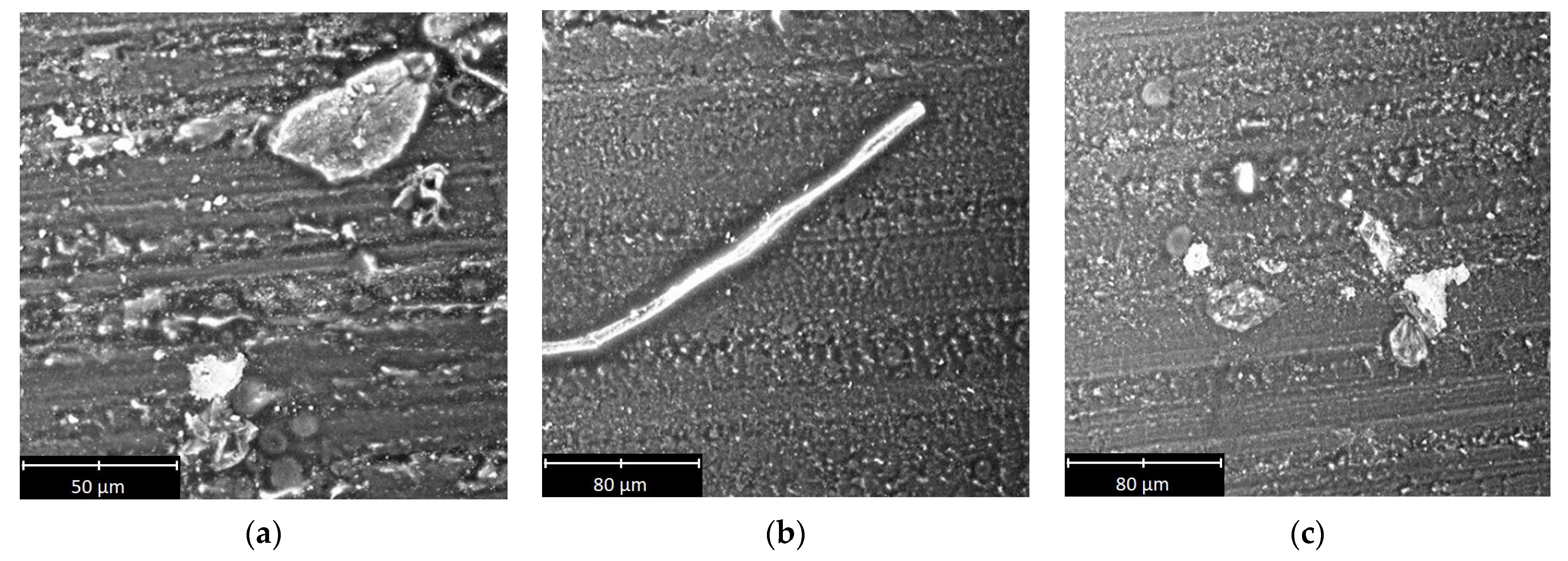 Materials 14 07318 g010