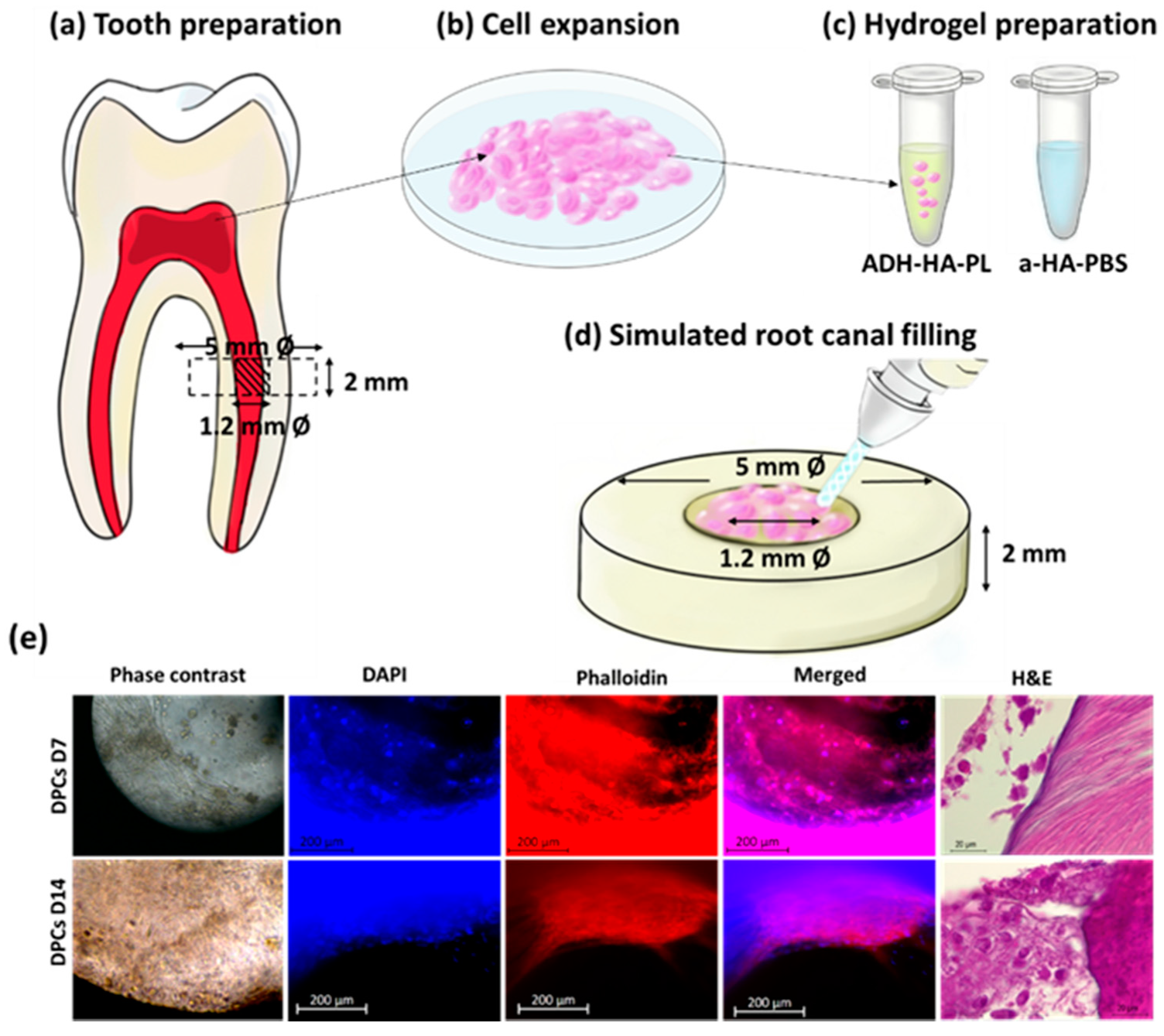 Materials 14 07325 g004 Materials 14 07325 g004
