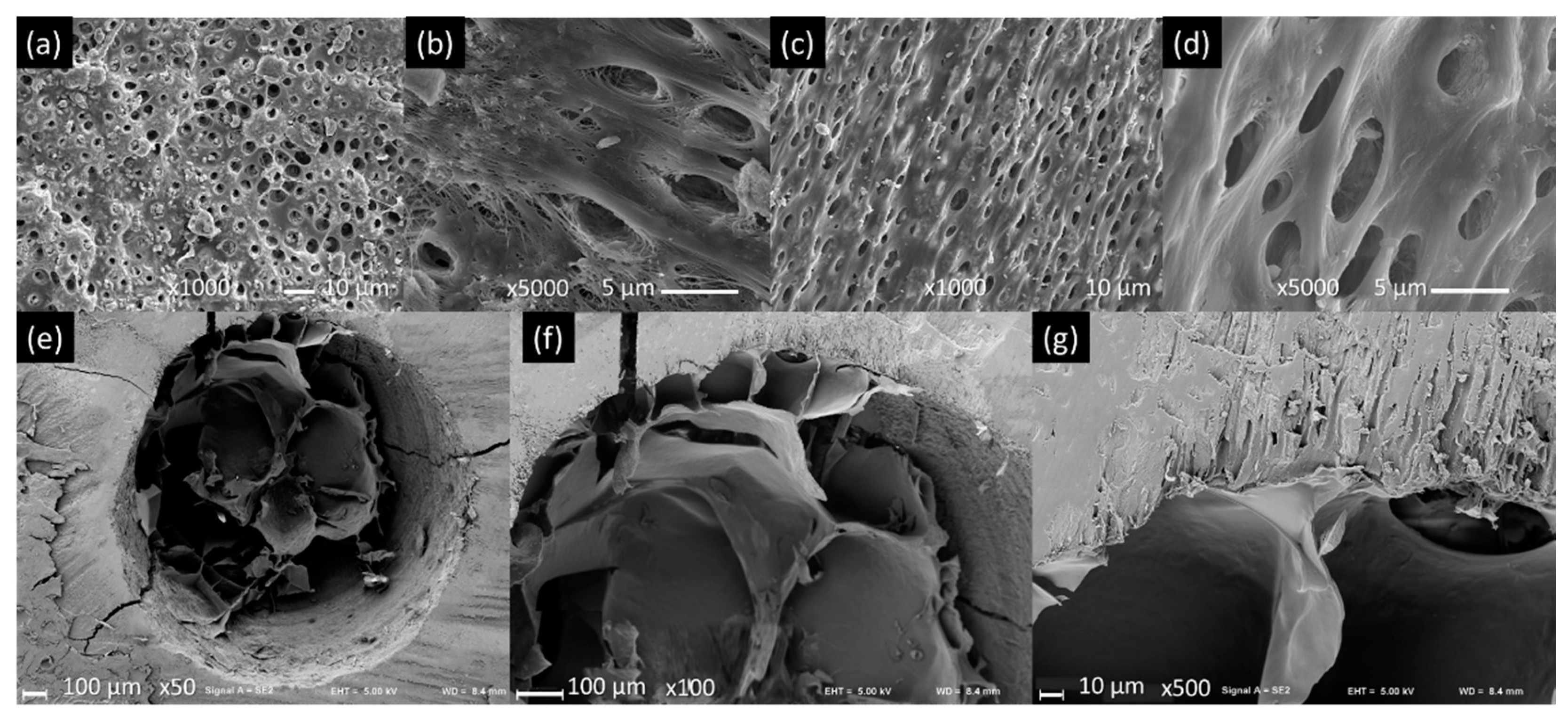 Materials 14 07325 g005 Materials 14 07325 g005
