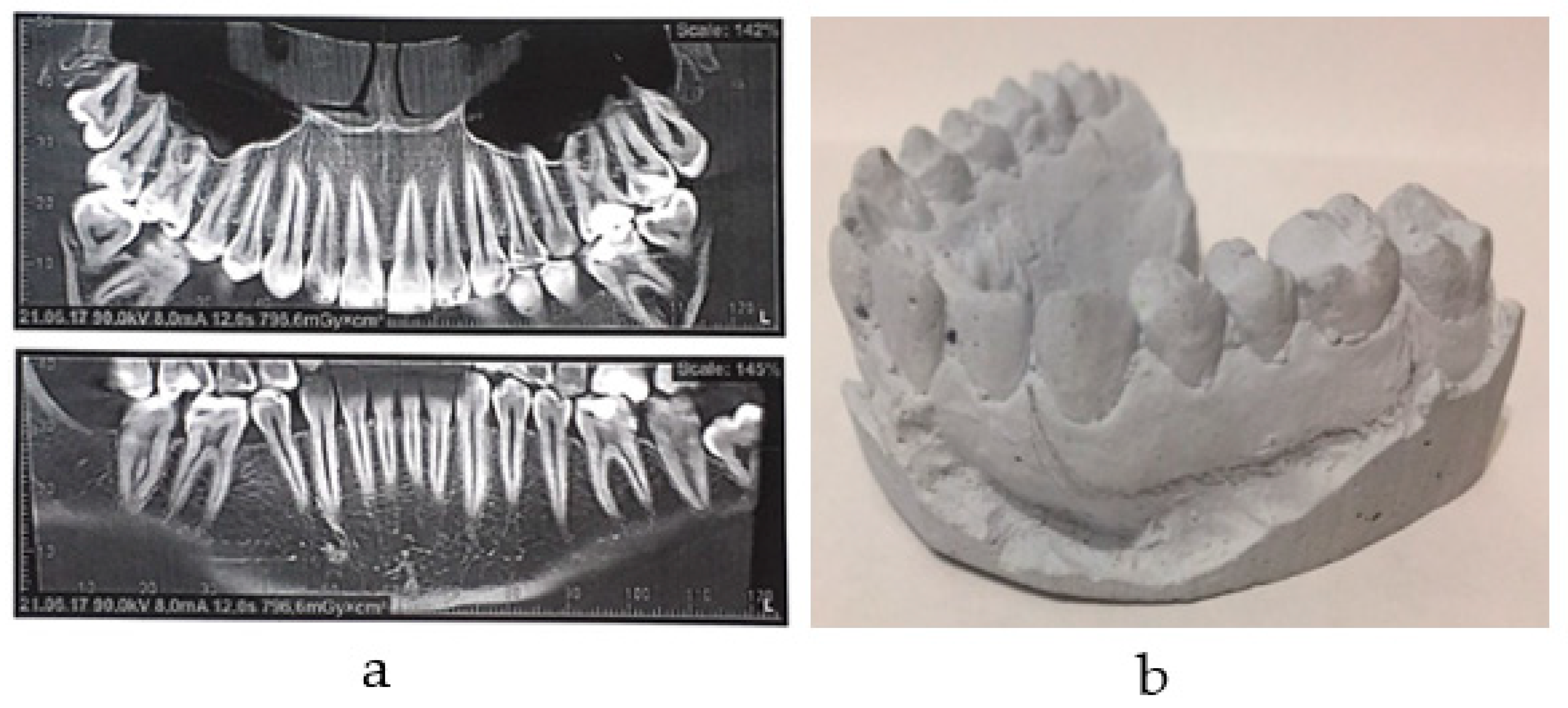 Materials 14 07331 g001