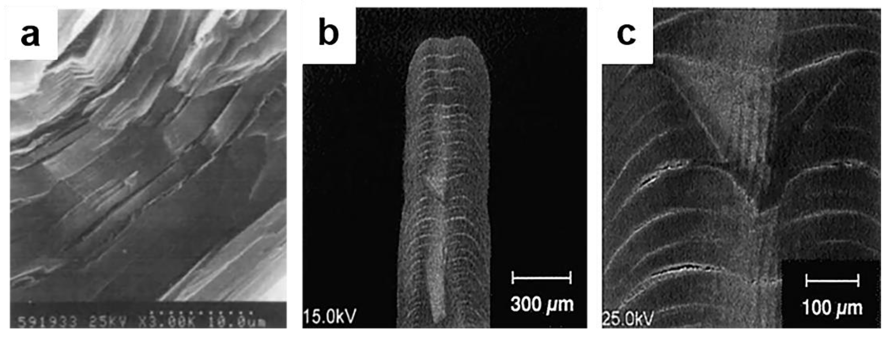 Materials 14 07356 g009