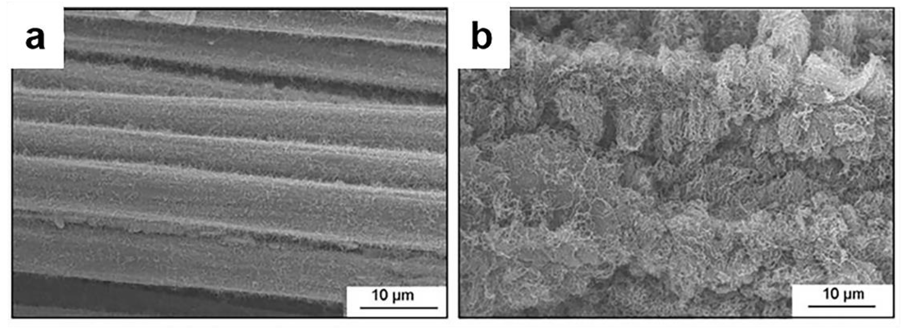 Materials 14 07356 g010