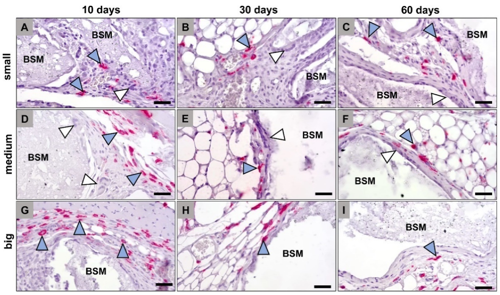 Materials 14 07372 g002