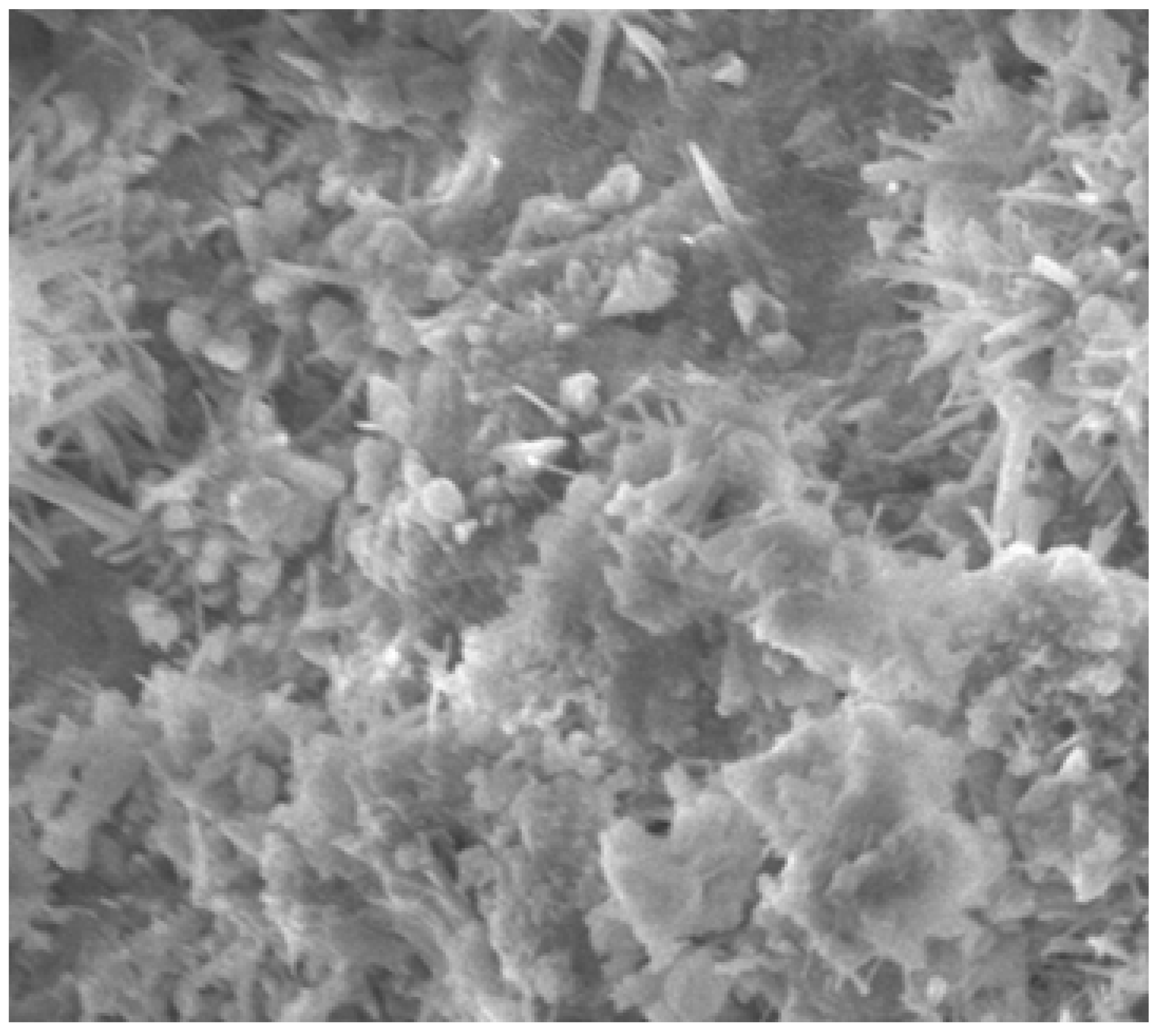 Materials 14 07420 g018