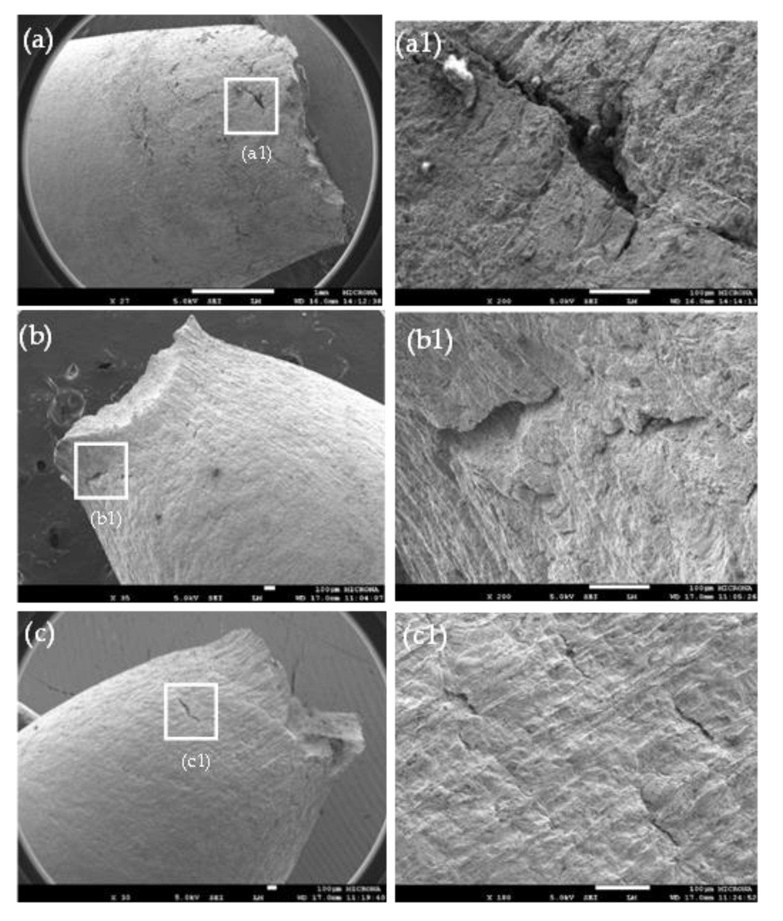 Materials 14 07445 g004 Materials 14 07445 g004