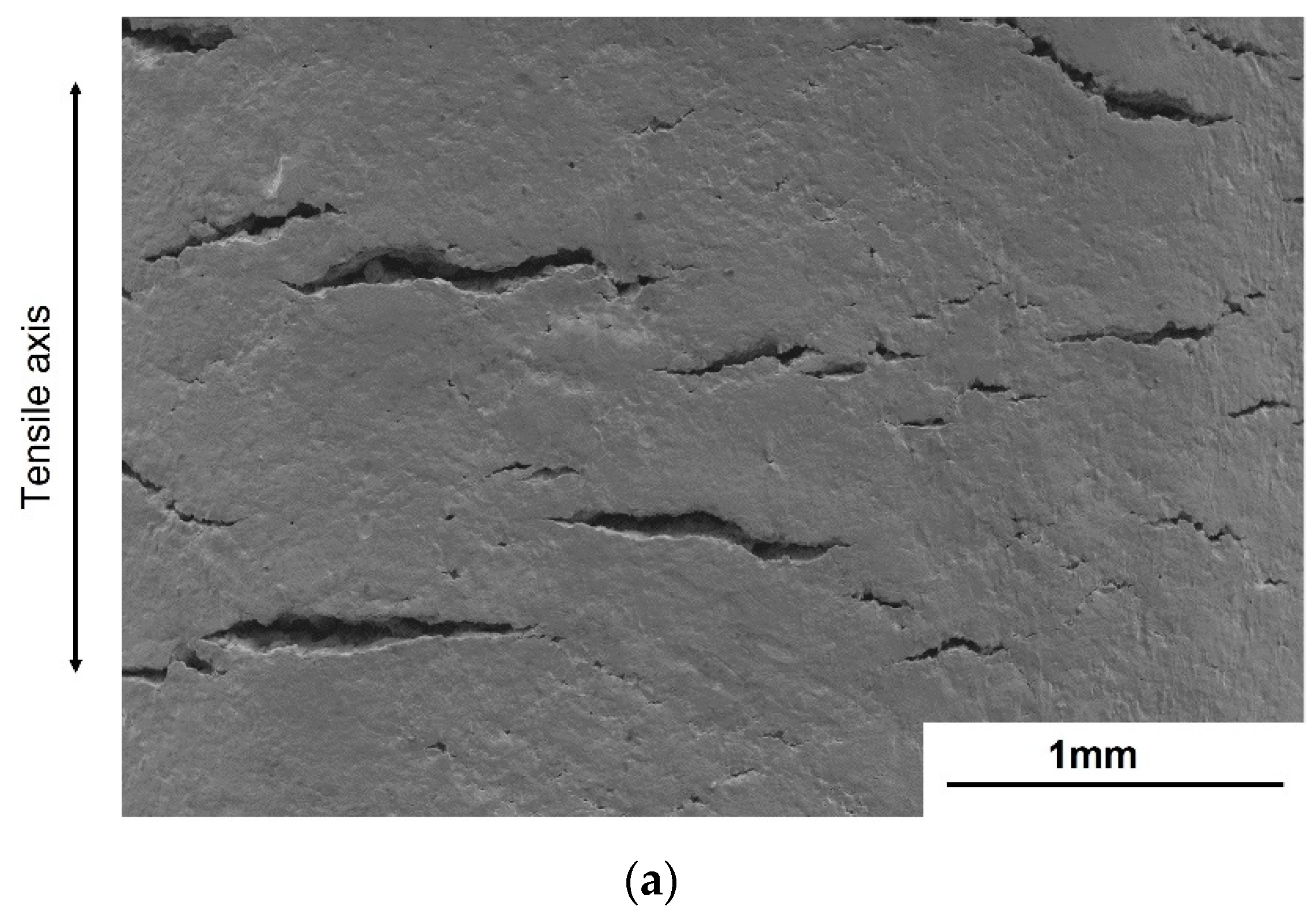 Materials 14 07480 g012a Materials 14 07480 g012a