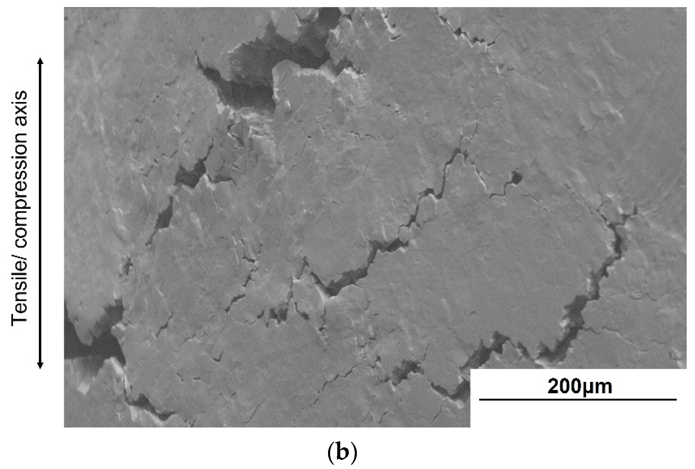 Materials 14 07480 g012b Materials 14 07480 g012b