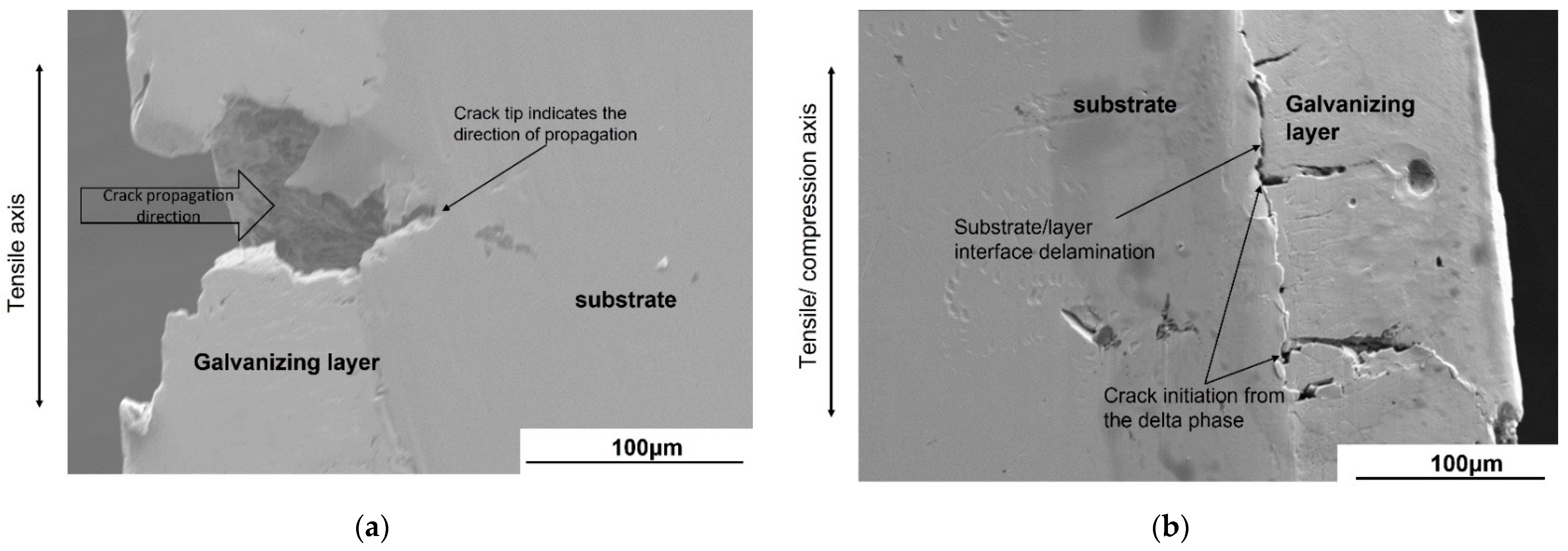 Materials 14 07480 g013 Materials 14 07480 g013