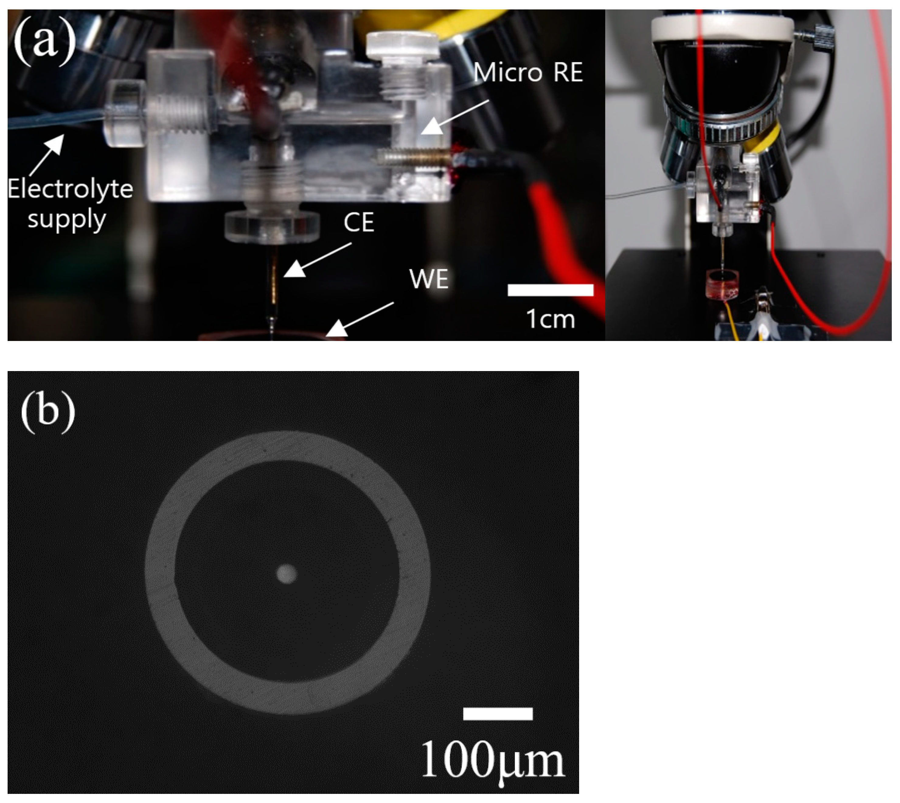 Materials 14 07481 g001