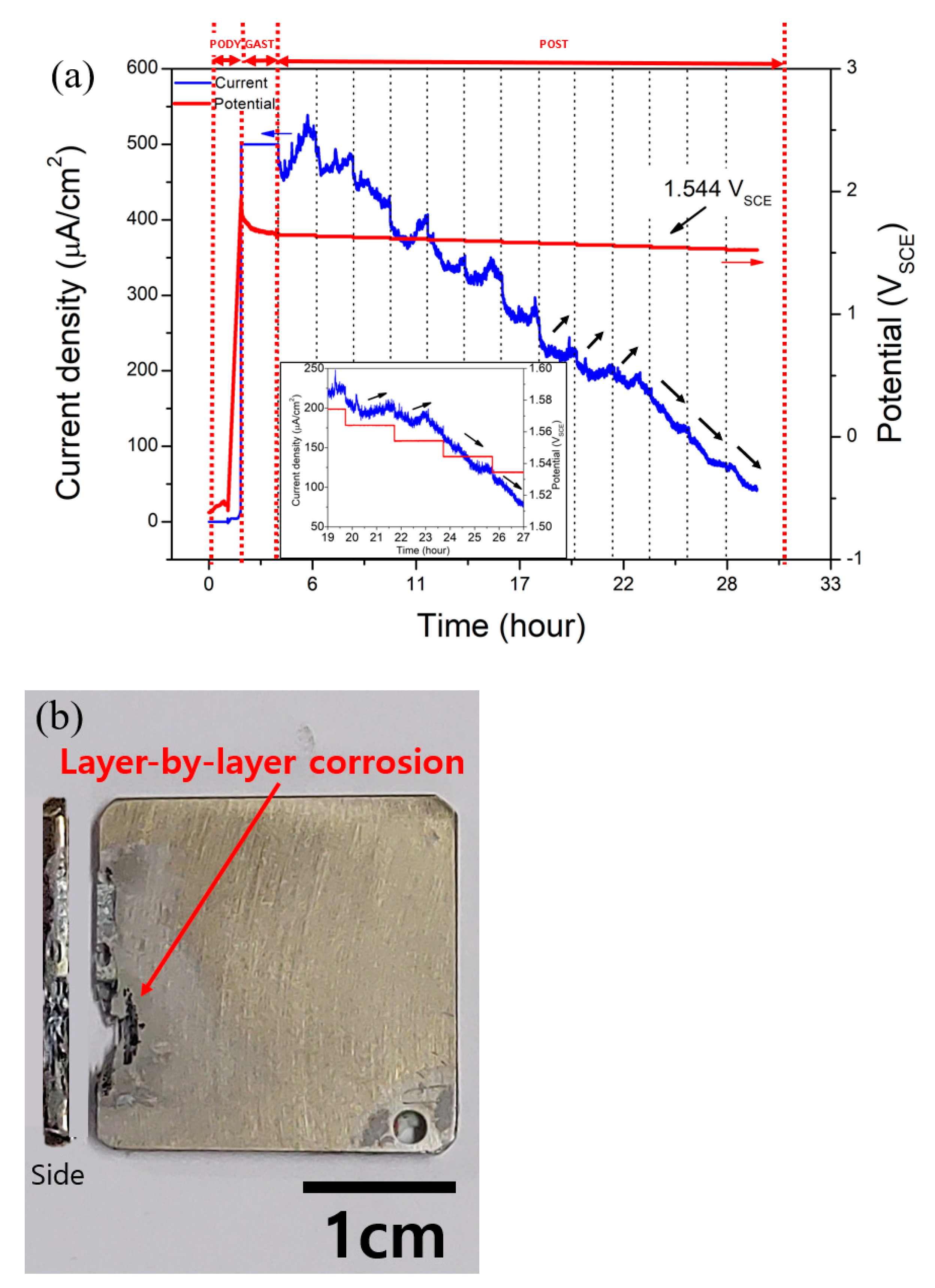 Materials 14 07481 g005