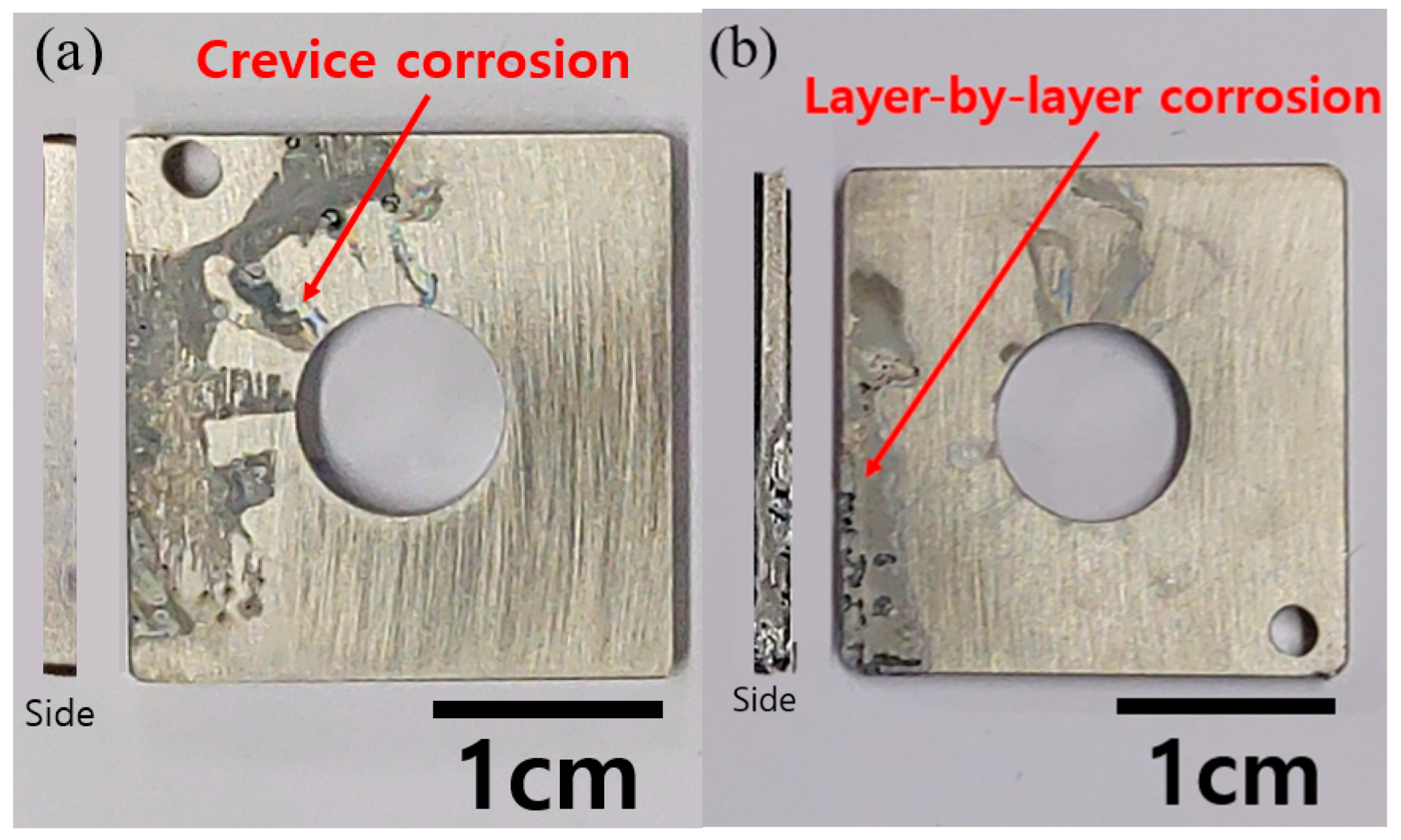 Materials 14 07481 g007