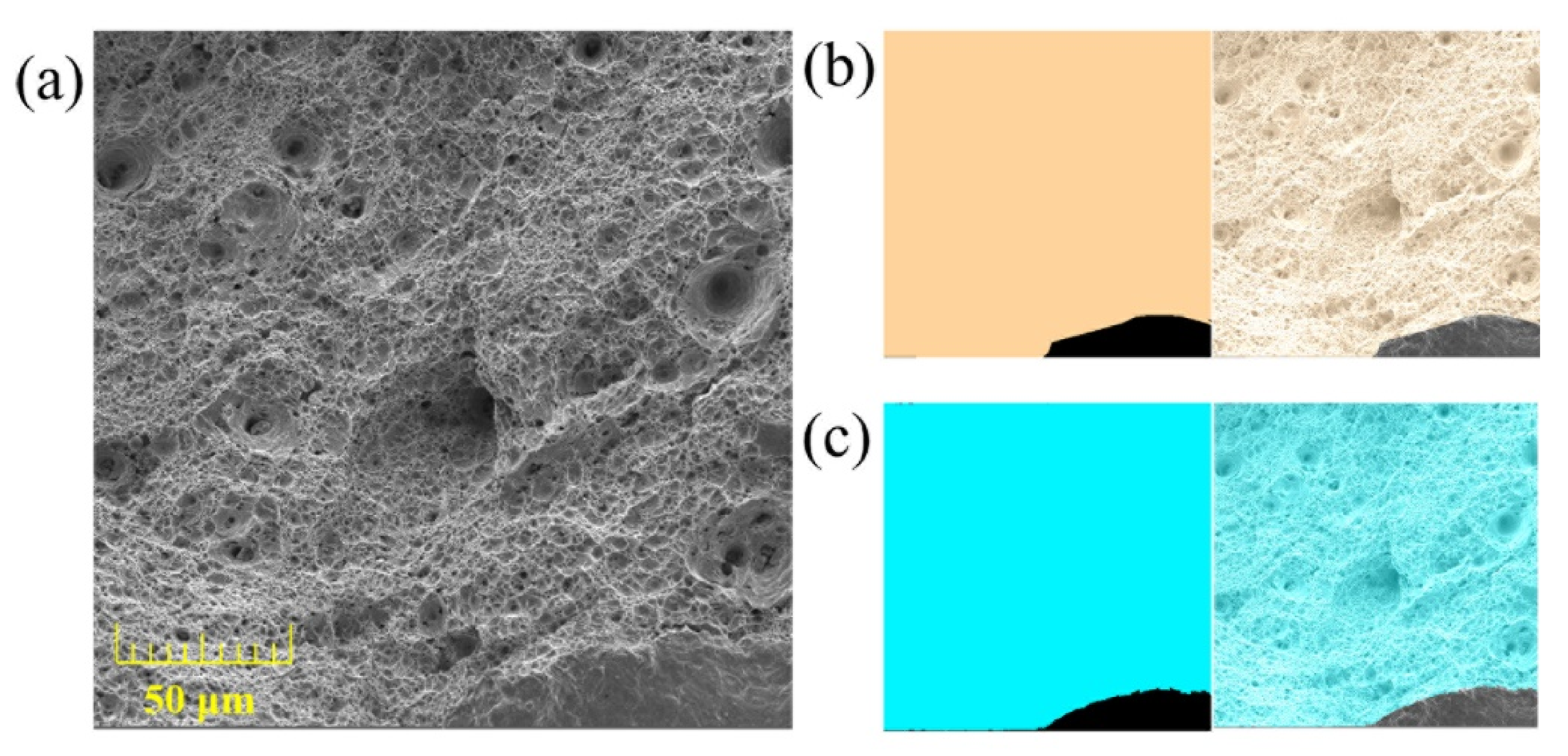 Materials 14 07504 g006